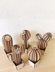 Cactus 3d